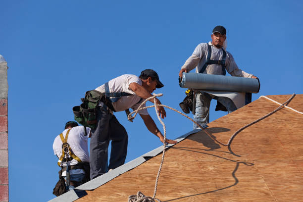 Best Emergency Roof Repair  in Chinook, MT