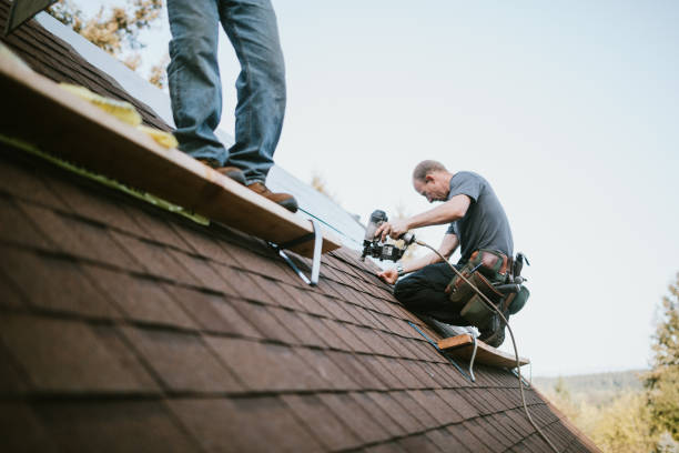Best Shingle Roofing Installation  in Chinook, MT